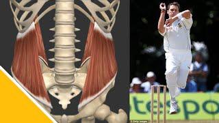 Trunk Muscles for Cricket Fast Bowling? │ Prof Benita Olivier