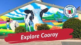 ️ Explore Cooroy Queensland ~ Things to do in and around Cooroy in the Noosa Hinterland