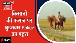 Barh News : किसानों की फसल की घुड़सवार Police कर रहे देखरेख | #Shorts