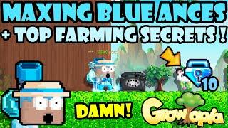 THE BEST FARMING TIPS IN GROWTOPIA!! | GrowTopia Profit 2023