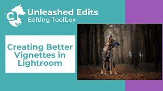 Creating Better Vignettes in Lightroom - Dog Photography Editing