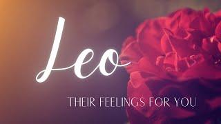 LEO LOVE TODAY - THE END OF NO COMMUNICATION, LEO!! IT'S A MUST WATCH!!