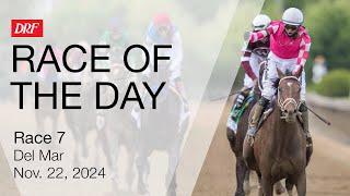 DRF Friday Race of the Day | Del Mar Race 7 | November 22, 2024