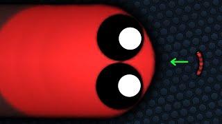 Slither.io Tiny Snake Becomes Giant !! Epic Slitherio Gameplay