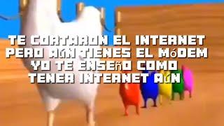 Me cortaron el internet por falta de pago, ¡INTERNET GRATIS! #viralvideo  #recomendado