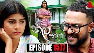 Neela Pabalu (නීල පබළු) | Episode 1577 | 24th July 2024 | Sirasa TV