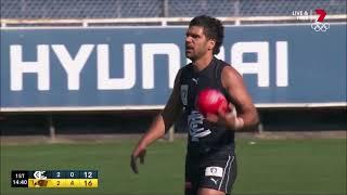 Sam Petrevski-Seton - VFL Round 6 Highlights - Carlton vs Hawks