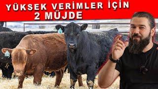 ET VE SÜT ÜRETİMİNDE ZİRVE YAPACAKSINIZ