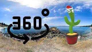 360 CACTUS BEATBOX FINDING CHALLANGE #2