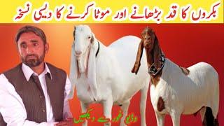 Indigenous recipe for increasing the height and fattening of goats||Useful information||