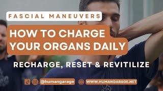 Powerful Techniques to Recharge Your Organs & Manage Emotions | Fascial Maneuver Organ Reset