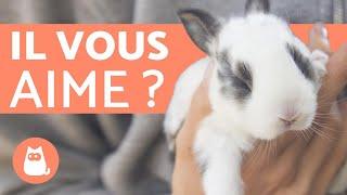 Comment savoir si mon lapin m'aime ? - 5 signes révélateurs !