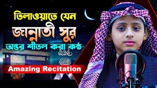 তিলাওয়াত নয় যেন জান্নাত থেকে ভেসে আসা সুর | পৃথিবীর সেরা কন্ঠে তিলাওয়াত | Beautiful Quran Recitation