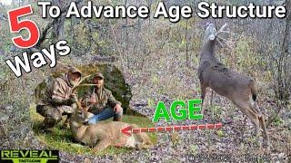 5 Ways to Advance Age Structure on Whitetail Deer Properties