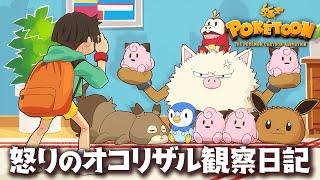 【公式】アニメ「怒りのオコリザル観察日記」【POKÉTOON】