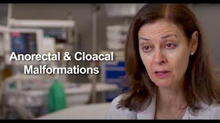 Complex Congenital Colorectal Malformations | Dr. Nitsana Spigland | Weill Cornell Medicine Surgery