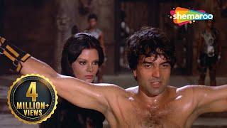 धर्मेंद्र का जबरदस्त सीन | Dharam Veer (1977) - Part 4 | Dharmendra, Jeetendra,  Zeenat Aman, Neetu