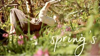 Spring's Gentle Arrival art studio gallery wall refresh, sketching & pressing spring flowers