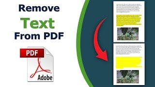 How to Remove Text From a PDF Document using adobe acrobat pro dc