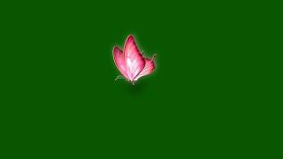 pink butterfly green screen effects | butterfly flying green screen video | green screen butterfly