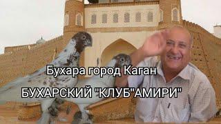 Голуби Д.Рамона,Бухара Город Каган,Pigeons of D.Ramon,Bukhara Kagan City