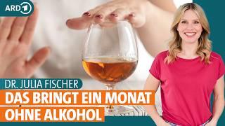 Alkoholverzicht: Was passiert im Körper und mit Herz und Leber? | Dr. Julia Fischer | ARD Gesund