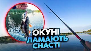 Окуні розривають попер! Рибалка 2024 на Станиці Десни