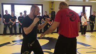 Dragon Gym - Striking Seminar Kitzingen 2018 by GGM Köhl