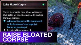 Raise Bloated Corpse Divinity 2