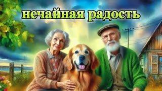 фильм Нечаянная радость,  семейный фильм про собаку, 2005 год, фильм для всей семьи про собак