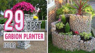 29 Best Gabion Planter Ideas