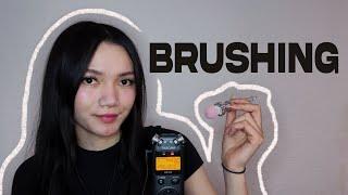 ASMR Tascam  dr05 Brushing (No Talking)