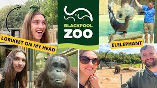 Blackpool Zoo | Lorikeets attack! | Elephants | Baby Orangutang | Sealion Show | Haven Marton Mere