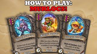 Murloc Back to Basics Guide How to Win Hearthstone Battlegrounds *Trinket Meta*