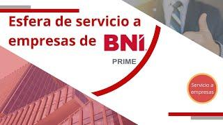 Esfera de servicios a empresas de BNI