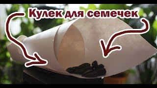 Как сделать КУЛЁК для семечек