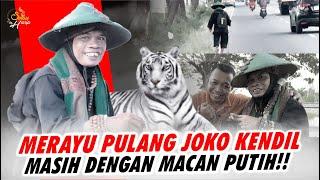 MERAYU JOKO KENDIL ️️”PULANG ya KANG, BAPAKMU KANGEN ️️MASIH SETIA ditemani MACAN PUTIH ️