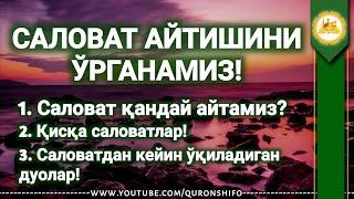 САЛОВАТ АЙТИШНИ ЎРГАНАМИЗ! - ВИДЕОДАН БОШҚАЛАРХАМ МАНФААТДОР БЎЛИШИ УЧУН ЛАЙК БОСИНГ!