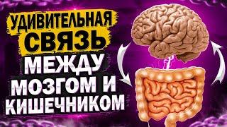 Кишечник Управляет Вашим Мозгом? Невероятная связь мозга и кишечника