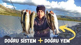 FISHING-THIS SYSTEM DOES NOT LEAVE TROUT IN THE DAM-HOW TO KEEP TROUT? TROUT FISHING TECHNIQUES 2023