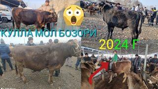 БУЛОГБОШИ ТУМАНИ КУЛЛА МОЛ БОЗОРИ ЯАНГИ НАРХЛАРИ 01 02 2024 Г БУ ВДЙУ СИЗЛАР УЧУН ЗАКАС