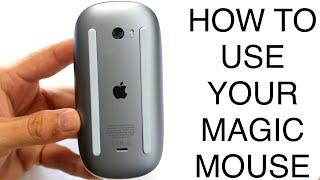 How To Use Your Magic Mouse! (Complete Beginners Guide)