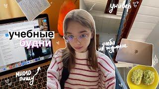 Study diary: мои учебные дни в универе // будни студента-журналиста, study with me