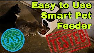 Smart Feeding for Cats & Dogs: Bupplee Automatic Pet Feeder Review