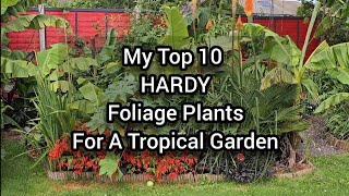 My Top 10 HARDY Foliage Plants For A Tropical Garden. Ten Jungle-Like Leafy Plants I Grow In UK.