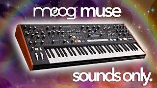 Experience and Explore the Moog Muse! - Sound Only Demo | Gear4music Synths & Tech