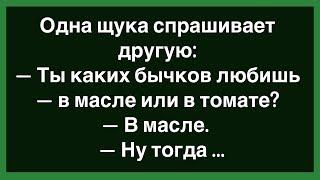 Как У Жены Было Две Новости Для Мужа! Сборник Смешных Анекдотов! Юмор! Позитив!