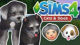 Elderly Pets | The Sims 4 YouTuber Pets | Episode 10