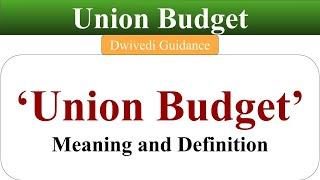 What is Budget? What is Union Budget, Budget meaning, Budget Definition, Budget