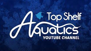 Welcome to Top Shelf Aquatics!